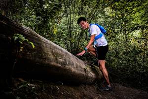 BIB: 
                            <button type="button" onclick="openModal(13525897)" class="btn btn-primary btn-sm float-right btn-popup" data-toggle="modal" data-target=".modal-high-quality">
                        <i class="fas fa-shopping-cart"></i> Add to Cart
                    </button>
                                            <button type="button" onclick="isThisMe(13525897, true)" class="btn btn-success btn-sm float-right btn-popup btn-isme hidden" data-toggle="tooltip" data-placement="bottom" title="นี่คือรูปของคุณใช่ไหม คลิกที่นี่เพื่อเอาเข้าอัลบั้ม">
                        <i class="fas fa-plus"></i> Add to album
                    </button>
                    <button type="button" onclick="isThisMe(13525897, false)" class="btn btn-warning btn-sm float-right btn-popup btn-isnotme hidden">
                        <i class="fas fa-ban"></i> Remove from album
                    </button>