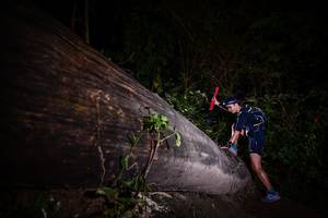 BIB: 
                            <button type="button" onclick="openModal(13517621)" class="btn btn-primary btn-sm float-right btn-popup" data-toggle="modal" data-target=".modal-high-quality">
                        <i class="fas fa-shopping-cart"></i> Add to Cart
                    </button>
                                            <button type="button" onclick="isThisMe(13517621, true)" class="btn btn-success btn-sm float-right btn-popup btn-isme hidden" data-toggle="tooltip" data-placement="bottom" title="นี่คือรูปของคุณใช่ไหม คลิกที่นี่เพื่อเอาเข้าอัลบั้ม">
                        <i class="fas fa-plus"></i> Add to album
                    </button>
                    <button type="button" onclick="isThisMe(13517621, false)" class="btn btn-warning btn-sm float-right btn-popup btn-isnotme hidden">
                        <i class="fas fa-ban"></i> Remove from album
                    </button>