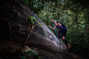 BIB: 
                            <button type="button" onclick="openModal(13519650)" class="btn btn-primary btn-sm float-right btn-popup" data-toggle="modal" data-target=".modal-high-quality">
                        <i class="fas fa-shopping-cart"></i> Add to Cart
                    </button>
                                            <button type="button" onclick="isThisMe(13519650, true)" class="btn btn-success btn-sm float-right btn-popup btn-isme hidden" data-toggle="tooltip" data-placement="bottom" title="นี่คือรูปของคุณใช่ไหม คลิกที่นี่เพื่อเอาเข้าอัลบั้ม">
                        <i class="fas fa-plus"></i> Add to album
                    </button>
                    <button type="button" onclick="isThisMe(13519650, false)" class="btn btn-warning btn-sm float-right btn-popup btn-isnotme hidden">
                        <i class="fas fa-ban"></i> Remove from album
                    </button>