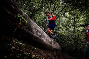 BIB: 
                            <button type="button" onclick="openModal(13525316)" class="btn btn-primary btn-sm float-right btn-popup" data-toggle="modal" data-target=".modal-high-quality">
                        <i class="fas fa-shopping-cart"></i> Add to Cart
                    </button>
                                            <button type="button" onclick="isThisMe(13525316, true)" class="btn btn-success btn-sm float-right btn-popup btn-isme hidden" data-toggle="tooltip" data-placement="bottom" title="นี่คือรูปของคุณใช่ไหม คลิกที่นี่เพื่อเอาเข้าอัลบั้ม">
                        <i class="fas fa-plus"></i> Add to album
                    </button>
                    <button type="button" onclick="isThisMe(13525316, false)" class="btn btn-warning btn-sm float-right btn-popup btn-isnotme hidden">
                        <i class="fas fa-ban"></i> Remove from album
                    </button>