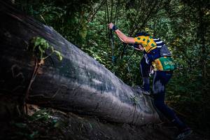 BIB: 
                            <button type="button" onclick="openModal(13519548)" class="btn btn-primary btn-sm float-right btn-popup" data-toggle="modal" data-target=".modal-high-quality">
                        <i class="fas fa-shopping-cart"></i> Add to Cart
                    </button>
                                            <button type="button" onclick="isThisMe(13519548, true)" class="btn btn-success btn-sm float-right btn-popup btn-isme hidden" data-toggle="tooltip" data-placement="bottom" title="นี่คือรูปของคุณใช่ไหม คลิกที่นี่เพื่อเอาเข้าอัลบั้ม">
                        <i class="fas fa-plus"></i> Add to album
                    </button>
                    <button type="button" onclick="isThisMe(13519548, false)" class="btn btn-warning btn-sm float-right btn-popup btn-isnotme hidden">
                        <i class="fas fa-ban"></i> Remove from album
                    </button>