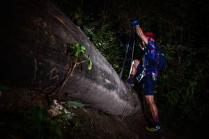 BIB: 
                            <button type="button" onclick="openModal(13518299)" class="btn btn-primary btn-sm float-right btn-popup" data-toggle="modal" data-target=".modal-high-quality">
                        <i class="fas fa-shopping-cart"></i> Add to Cart
                    </button>
                                            <button type="button" onclick="isThisMe(13518299, true)" class="btn btn-success btn-sm float-right btn-popup btn-isme hidden" data-toggle="tooltip" data-placement="bottom" title="นี่คือรูปของคุณใช่ไหม คลิกที่นี่เพื่อเอาเข้าอัลบั้ม">
                        <i class="fas fa-plus"></i> Add to album
                    </button>
                    <button type="button" onclick="isThisMe(13518299, false)" class="btn btn-warning btn-sm float-right btn-popup btn-isnotme hidden">
                        <i class="fas fa-ban"></i> Remove from album
                    </button>