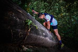 BIB: 
                            <button type="button" onclick="openModal(13519330)" class="btn btn-primary btn-sm float-right btn-popup" data-toggle="modal" data-target=".modal-high-quality">
                        <i class="fas fa-shopping-cart"></i> Add to Cart
                    </button>
                                            <button type="button" onclick="isThisMe(13519330, true)" class="btn btn-success btn-sm float-right btn-popup btn-isme hidden" data-toggle="tooltip" data-placement="bottom" title="นี่คือรูปของคุณใช่ไหม คลิกที่นี่เพื่อเอาเข้าอัลบั้ม">
                        <i class="fas fa-plus"></i> Add to album
                    </button>
                    <button type="button" onclick="isThisMe(13519330, false)" class="btn btn-warning btn-sm float-right btn-popup btn-isnotme hidden">
                        <i class="fas fa-ban"></i> Remove from album
                    </button>