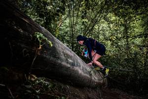 BIB: 
                            <button type="button" onclick="openModal(13523241)" class="btn btn-primary btn-sm float-right btn-popup" data-toggle="modal" data-target=".modal-high-quality">
                        <i class="fas fa-shopping-cart"></i> Add to Cart
                    </button>
                                            <button type="button" onclick="isThisMe(13523241, true)" class="btn btn-success btn-sm float-right btn-popup btn-isme hidden" data-toggle="tooltip" data-placement="bottom" title="นี่คือรูปของคุณใช่ไหม คลิกที่นี่เพื่อเอาเข้าอัลบั้ม">
                        <i class="fas fa-plus"></i> Add to album
                    </button>
                    <button type="button" onclick="isThisMe(13523241, false)" class="btn btn-warning btn-sm float-right btn-popup btn-isnotme hidden">
                        <i class="fas fa-ban"></i> Remove from album
                    </button>