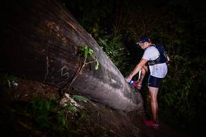 BIB: 
                            <button type="button" onclick="openModal(13518555)" class="btn btn-primary btn-sm float-right btn-popup" data-toggle="modal" data-target=".modal-high-quality">
                        <i class="fas fa-shopping-cart"></i> Add to Cart
                    </button>
                                            <button type="button" onclick="isThisMe(13518555, true)" class="btn btn-success btn-sm float-right btn-popup btn-isme hidden" data-toggle="tooltip" data-placement="bottom" title="นี่คือรูปของคุณใช่ไหม คลิกที่นี่เพื่อเอาเข้าอัลบั้ม">
                        <i class="fas fa-plus"></i> Add to album
                    </button>
                    <button type="button" onclick="isThisMe(13518555, false)" class="btn btn-warning btn-sm float-right btn-popup btn-isnotme hidden">
                        <i class="fas fa-ban"></i> Remove from album
                    </button>