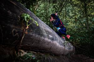 BIB: 
                            <button type="button" onclick="openModal(13519777)" class="btn btn-primary btn-sm float-right btn-popup" data-toggle="modal" data-target=".modal-high-quality">
                        <i class="fas fa-shopping-cart"></i> Add to Cart
                    </button>
                                            <button type="button" onclick="isThisMe(13519777, true)" class="btn btn-success btn-sm float-right btn-popup btn-isme hidden" data-toggle="tooltip" data-placement="bottom" title="นี่คือรูปของคุณใช่ไหม คลิกที่นี่เพื่อเอาเข้าอัลบั้ม">
                        <i class="fas fa-plus"></i> Add to album
                    </button>
                    <button type="button" onclick="isThisMe(13519777, false)" class="btn btn-warning btn-sm float-right btn-popup btn-isnotme hidden">
                        <i class="fas fa-ban"></i> Remove from album
                    </button>