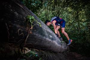 BIB: 
                            <button type="button" onclick="openModal(13519656)" class="btn btn-primary btn-sm float-right btn-popup" data-toggle="modal" data-target=".modal-high-quality">
                        <i class="fas fa-shopping-cart"></i> Add to Cart
                    </button>
                                            <button type="button" onclick="isThisMe(13519656, true)" class="btn btn-success btn-sm float-right btn-popup btn-isme hidden" data-toggle="tooltip" data-placement="bottom" title="นี่คือรูปของคุณใช่ไหม คลิกที่นี่เพื่อเอาเข้าอัลบั้ม">
                        <i class="fas fa-plus"></i> Add to album
                    </button>
                    <button type="button" onclick="isThisMe(13519656, false)" class="btn btn-warning btn-sm float-right btn-popup btn-isnotme hidden">
                        <i class="fas fa-ban"></i> Remove from album
                    </button>