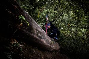 BIB: 
                            <button type="button" onclick="openModal(13525456)" class="btn btn-primary btn-sm float-right btn-popup" data-toggle="modal" data-target=".modal-high-quality">
                        <i class="fas fa-shopping-cart"></i> Add to Cart
                    </button>
                                            <button type="button" onclick="isThisMe(13525456, true)" class="btn btn-success btn-sm float-right btn-popup btn-isme hidden" data-toggle="tooltip" data-placement="bottom" title="นี่คือรูปของคุณใช่ไหม คลิกที่นี่เพื่อเอาเข้าอัลบั้ม">
                        <i class="fas fa-plus"></i> Add to album
                    </button>
                    <button type="button" onclick="isThisMe(13525456, false)" class="btn btn-warning btn-sm float-right btn-popup btn-isnotme hidden">
                        <i class="fas fa-ban"></i> Remove from album
                    </button>