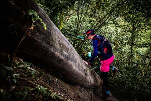 BIB: 
                            <button type="button" onclick="openModal(13523862)" class="btn btn-primary btn-sm float-right btn-popup" data-toggle="modal" data-target=".modal-high-quality">
                        <i class="fas fa-shopping-cart"></i> Add to Cart
                    </button>
                                            <button type="button" onclick="isThisMe(13523862, true)" class="btn btn-success btn-sm float-right btn-popup btn-isme hidden" data-toggle="tooltip" data-placement="bottom" title="นี่คือรูปของคุณใช่ไหม คลิกที่นี่เพื่อเอาเข้าอัลบั้ม">
                        <i class="fas fa-plus"></i> Add to album
                    </button>
                    <button type="button" onclick="isThisMe(13523862, false)" class="btn btn-warning btn-sm float-right btn-popup btn-isnotme hidden">
                        <i class="fas fa-ban"></i> Remove from album
                    </button>