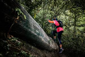 BIB: 
                            <button type="button" onclick="openModal(13523844)" class="btn btn-primary btn-sm float-right btn-popup" data-toggle="modal" data-target=".modal-high-quality">
                        <i class="fas fa-shopping-cart"></i> Add to Cart
                    </button>
                                            <button type="button" onclick="isThisMe(13523844, true)" class="btn btn-success btn-sm float-right btn-popup btn-isme hidden" data-toggle="tooltip" data-placement="bottom" title="นี่คือรูปของคุณใช่ไหม คลิกที่นี่เพื่อเอาเข้าอัลบั้ม">
                        <i class="fas fa-plus"></i> Add to album
                    </button>
                    <button type="button" onclick="isThisMe(13523844, false)" class="btn btn-warning btn-sm float-right btn-popup btn-isnotme hidden">
                        <i class="fas fa-ban"></i> Remove from album
                    </button>