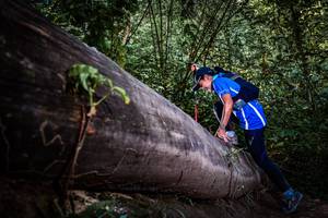 BIB: 
                            <button type="button" onclick="openModal(13519765)" class="btn btn-primary btn-sm float-right btn-popup" data-toggle="modal" data-target=".modal-high-quality">
                        <i class="fas fa-shopping-cart"></i> Add to Cart
                    </button>
                                            <button type="button" onclick="isThisMe(13519765, true)" class="btn btn-success btn-sm float-right btn-popup btn-isme hidden" data-toggle="tooltip" data-placement="bottom" title="นี่คือรูปของคุณใช่ไหม คลิกที่นี่เพื่อเอาเข้าอัลบั้ม">
                        <i class="fas fa-plus"></i> Add to album
                    </button>
                    <button type="button" onclick="isThisMe(13519765, false)" class="btn btn-warning btn-sm float-right btn-popup btn-isnotme hidden">
                        <i class="fas fa-ban"></i> Remove from album
                    </button>