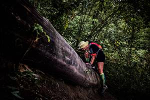 BIB: 
                            <button type="button" onclick="openModal(13525465)" class="btn btn-primary btn-sm float-right btn-popup" data-toggle="modal" data-target=".modal-high-quality">
                        <i class="fas fa-shopping-cart"></i> Add to Cart
                    </button>
                                            <button type="button" onclick="isThisMe(13525465, true)" class="btn btn-success btn-sm float-right btn-popup btn-isme hidden" data-toggle="tooltip" data-placement="bottom" title="นี่คือรูปของคุณใช่ไหม คลิกที่นี่เพื่อเอาเข้าอัลบั้ม">
                        <i class="fas fa-plus"></i> Add to album
                    </button>
                    <button type="button" onclick="isThisMe(13525465, false)" class="btn btn-warning btn-sm float-right btn-popup btn-isnotme hidden">
                        <i class="fas fa-ban"></i> Remove from album
                    </button>