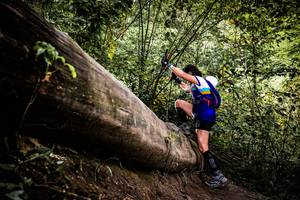 BIB: 
                            <button type="button" onclick="openModal(13525864)" class="btn btn-primary btn-sm float-right btn-popup" data-toggle="modal" data-target=".modal-high-quality">
                        <i class="fas fa-shopping-cart"></i> Add to Cart
                    </button>
                                            <button type="button" onclick="isThisMe(13525864, true)" class="btn btn-success btn-sm float-right btn-popup btn-isme hidden" data-toggle="tooltip" data-placement="bottom" title="นี่คือรูปของคุณใช่ไหม คลิกที่นี่เพื่อเอาเข้าอัลบั้ม">
                        <i class="fas fa-plus"></i> Add to album
                    </button>
                    <button type="button" onclick="isThisMe(13525864, false)" class="btn btn-warning btn-sm float-right btn-popup btn-isnotme hidden">
                        <i class="fas fa-ban"></i> Remove from album
                    </button>