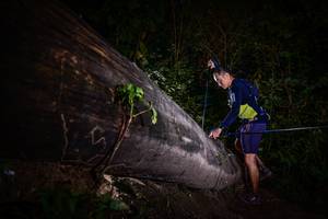 BIB: 
                            <button type="button" onclick="openModal(13519196)" class="btn btn-primary btn-sm float-right btn-popup" data-toggle="modal" data-target=".modal-high-quality">
                        <i class="fas fa-shopping-cart"></i> Add to Cart
                    </button>
                                            <button type="button" onclick="isThisMe(13519196, true)" class="btn btn-success btn-sm float-right btn-popup btn-isme hidden" data-toggle="tooltip" data-placement="bottom" title="นี่คือรูปของคุณใช่ไหม คลิกที่นี่เพื่อเอาเข้าอัลบั้ม">
                        <i class="fas fa-plus"></i> Add to album
                    </button>
                    <button type="button" onclick="isThisMe(13519196, false)" class="btn btn-warning btn-sm float-right btn-popup btn-isnotme hidden">
                        <i class="fas fa-ban"></i> Remove from album
                    </button>