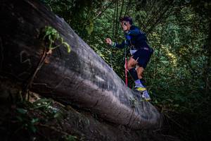 BIB: 
                            <button type="button" onclick="openModal(13519570)" class="btn btn-primary btn-sm float-right btn-popup" data-toggle="modal" data-target=".modal-high-quality">
                        <i class="fas fa-shopping-cart"></i> Add to Cart
                    </button>
                                            <button type="button" onclick="isThisMe(13519570, true)" class="btn btn-success btn-sm float-right btn-popup btn-isme hidden" data-toggle="tooltip" data-placement="bottom" title="นี่คือรูปของคุณใช่ไหม คลิกที่นี่เพื่อเอาเข้าอัลบั้ม">
                        <i class="fas fa-plus"></i> Add to album
                    </button>
                    <button type="button" onclick="isThisMe(13519570, false)" class="btn btn-warning btn-sm float-right btn-popup btn-isnotme hidden">
                        <i class="fas fa-ban"></i> Remove from album
                    </button>