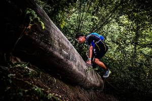 BIB: 
                            <button type="button" onclick="openModal(13525231)" class="btn btn-primary btn-sm float-right btn-popup" data-toggle="modal" data-target=".modal-high-quality">
                        <i class="fas fa-shopping-cart"></i> Add to Cart
                    </button>
                                            <button type="button" onclick="isThisMe(13525231, true)" class="btn btn-success btn-sm float-right btn-popup btn-isme hidden" data-toggle="tooltip" data-placement="bottom" title="นี่คือรูปของคุณใช่ไหม คลิกที่นี่เพื่อเอาเข้าอัลบั้ม">
                        <i class="fas fa-plus"></i> Add to album
                    </button>
                    <button type="button" onclick="isThisMe(13525231, false)" class="btn btn-warning btn-sm float-right btn-popup btn-isnotme hidden">
                        <i class="fas fa-ban"></i> Remove from album
                    </button>