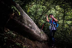 BIB: 
                            <button type="button" onclick="openModal(13525183)" class="btn btn-primary btn-sm float-right btn-popup" data-toggle="modal" data-target=".modal-high-quality">
                        <i class="fas fa-shopping-cart"></i> Add to Cart
                    </button>
                                            <button type="button" onclick="isThisMe(13525183, true)" class="btn btn-success btn-sm float-right btn-popup btn-isme hidden" data-toggle="tooltip" data-placement="bottom" title="นี่คือรูปของคุณใช่ไหม คลิกที่นี่เพื่อเอาเข้าอัลบั้ม">
                        <i class="fas fa-plus"></i> Add to album
                    </button>
                    <button type="button" onclick="isThisMe(13525183, false)" class="btn btn-warning btn-sm float-right btn-popup btn-isnotme hidden">
                        <i class="fas fa-ban"></i> Remove from album
                    </button>