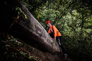 BIB: 
                            <button type="button" onclick="openModal(13525292)" class="btn btn-primary btn-sm float-right btn-popup" data-toggle="modal" data-target=".modal-high-quality">
                        <i class="fas fa-shopping-cart"></i> Add to Cart
                    </button>
                                            <button type="button" onclick="isThisMe(13525292, true)" class="btn btn-success btn-sm float-right btn-popup btn-isme hidden" data-toggle="tooltip" data-placement="bottom" title="นี่คือรูปของคุณใช่ไหม คลิกที่นี่เพื่อเอาเข้าอัลบั้ม">
                        <i class="fas fa-plus"></i> Add to album
                    </button>
                    <button type="button" onclick="isThisMe(13525292, false)" class="btn btn-warning btn-sm float-right btn-popup btn-isnotme hidden">
                        <i class="fas fa-ban"></i> Remove from album
                    </button>