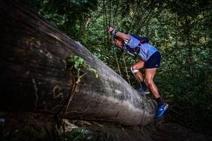 BIB: 
                            <button type="button" onclick="openModal(13519490)" class="btn btn-primary btn-sm float-right btn-popup" data-toggle="modal" data-target=".modal-high-quality">
                        <i class="fas fa-shopping-cart"></i> Add to Cart
                    </button>
                                            <button type="button" onclick="isThisMe(13519490, true)" class="btn btn-success btn-sm float-right btn-popup btn-isme hidden" data-toggle="tooltip" data-placement="bottom" title="นี่คือรูปของคุณใช่ไหม คลิกที่นี่เพื่อเอาเข้าอัลบั้ม">
                        <i class="fas fa-plus"></i> Add to album
                    </button>
                    <button type="button" onclick="isThisMe(13519490, false)" class="btn btn-warning btn-sm float-right btn-popup btn-isnotme hidden">
                        <i class="fas fa-ban"></i> Remove from album
                    </button>