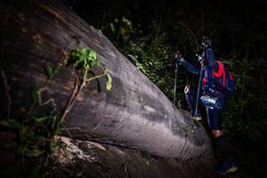 BIB: 
                            <button type="button" onclick="openModal(13517707)" class="btn btn-primary btn-sm float-right btn-popup" data-toggle="modal" data-target=".modal-high-quality">
                        <i class="fas fa-shopping-cart"></i> Add to Cart
                    </button>
                                            <button type="button" onclick="isThisMe(13517707, true)" class="btn btn-success btn-sm float-right btn-popup btn-isme hidden" data-toggle="tooltip" data-placement="bottom" title="นี่คือรูปของคุณใช่ไหม คลิกที่นี่เพื่อเอาเข้าอัลบั้ม">
                        <i class="fas fa-plus"></i> Add to album
                    </button>
                    <button type="button" onclick="isThisMe(13517707, false)" class="btn btn-warning btn-sm float-right btn-popup btn-isnotme hidden">
                        <i class="fas fa-ban"></i> Remove from album
                    </button>