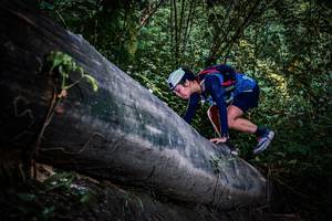 BIB: 
                            <button type="button" onclick="openModal(13519618)" class="btn btn-primary btn-sm float-right btn-popup" data-toggle="modal" data-target=".modal-high-quality">
                        <i class="fas fa-shopping-cart"></i> Add to Cart
                    </button>
                                            <button type="button" onclick="isThisMe(13519618, true)" class="btn btn-success btn-sm float-right btn-popup btn-isme hidden" data-toggle="tooltip" data-placement="bottom" title="นี่คือรูปของคุณใช่ไหม คลิกที่นี่เพื่อเอาเข้าอัลบั้ม">
                        <i class="fas fa-plus"></i> Add to album
                    </button>
                    <button type="button" onclick="isThisMe(13519618, false)" class="btn btn-warning btn-sm float-right btn-popup btn-isnotme hidden">
                        <i class="fas fa-ban"></i> Remove from album
                    </button>