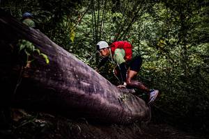 BIB: 
                            <button type="button" onclick="openModal(13525386)" class="btn btn-primary btn-sm float-right btn-popup" data-toggle="modal" data-target=".modal-high-quality">
                        <i class="fas fa-shopping-cart"></i> Add to Cart
                    </button>
                                            <button type="button" onclick="isThisMe(13525386, true)" class="btn btn-success btn-sm float-right btn-popup btn-isme hidden" data-toggle="tooltip" data-placement="bottom" title="นี่คือรูปของคุณใช่ไหม คลิกที่นี่เพื่อเอาเข้าอัลบั้ม">
                        <i class="fas fa-plus"></i> Add to album
                    </button>
                    <button type="button" onclick="isThisMe(13525386, false)" class="btn btn-warning btn-sm float-right btn-popup btn-isnotme hidden">
                        <i class="fas fa-ban"></i> Remove from album
                    </button>