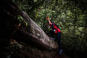 BIB: 
                            <button type="button" onclick="openModal(13525454)" class="btn btn-primary btn-sm float-right btn-popup" data-toggle="modal" data-target=".modal-high-quality">
                        <i class="fas fa-shopping-cart"></i> Add to Cart
                    </button>
                                            <button type="button" onclick="isThisMe(13525454, true)" class="btn btn-success btn-sm float-right btn-popup btn-isme hidden" data-toggle="tooltip" data-placement="bottom" title="นี่คือรูปของคุณใช่ไหม คลิกที่นี่เพื่อเอาเข้าอัลบั้ม">
                        <i class="fas fa-plus"></i> Add to album
                    </button>
                    <button type="button" onclick="isThisMe(13525454, false)" class="btn btn-warning btn-sm float-right btn-popup btn-isnotme hidden">
                        <i class="fas fa-ban"></i> Remove from album
                    </button>