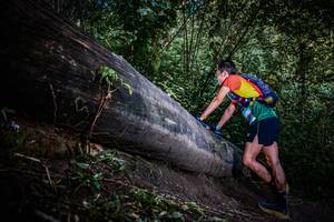 BIB: 
                            <button type="button" onclick="openModal(13519591)" class="btn btn-primary btn-sm float-right btn-popup" data-toggle="modal" data-target=".modal-high-quality">
                        <i class="fas fa-shopping-cart"></i> Add to Cart
                    </button>
                                            <button type="button" onclick="isThisMe(13519591, true)" class="btn btn-success btn-sm float-right btn-popup btn-isme hidden" data-toggle="tooltip" data-placement="bottom" title="นี่คือรูปของคุณใช่ไหม คลิกที่นี่เพื่อเอาเข้าอัลบั้ม">
                        <i class="fas fa-plus"></i> Add to album
                    </button>
                    <button type="button" onclick="isThisMe(13519591, false)" class="btn btn-warning btn-sm float-right btn-popup btn-isnotme hidden">
                        <i class="fas fa-ban"></i> Remove from album
                    </button>