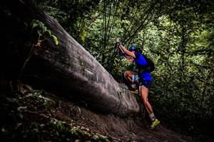 BIB: 
                            <button type="button" onclick="openModal(13525234)" class="btn btn-primary btn-sm float-right btn-popup" data-toggle="modal" data-target=".modal-high-quality">
                        <i class="fas fa-shopping-cart"></i> Add to Cart
                    </button>
                                            <button type="button" onclick="isThisMe(13525234, true)" class="btn btn-success btn-sm float-right btn-popup btn-isme hidden" data-toggle="tooltip" data-placement="bottom" title="นี่คือรูปของคุณใช่ไหม คลิกที่นี่เพื่อเอาเข้าอัลบั้ม">
                        <i class="fas fa-plus"></i> Add to album
                    </button>
                    <button type="button" onclick="isThisMe(13525234, false)" class="btn btn-warning btn-sm float-right btn-popup btn-isnotme hidden">
                        <i class="fas fa-ban"></i> Remove from album
                    </button>