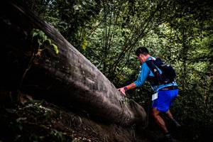 BIB: 
                            <button type="button" onclick="openModal(13525320)" class="btn btn-primary btn-sm float-right btn-popup" data-toggle="modal" data-target=".modal-high-quality">
                        <i class="fas fa-shopping-cart"></i> Add to Cart
                    </button>
                                            <button type="button" onclick="isThisMe(13525320, true)" class="btn btn-success btn-sm float-right btn-popup btn-isme hidden" data-toggle="tooltip" data-placement="bottom" title="นี่คือรูปของคุณใช่ไหม คลิกที่นี่เพื่อเอาเข้าอัลบั้ม">
                        <i class="fas fa-plus"></i> Add to album
                    </button>
                    <button type="button" onclick="isThisMe(13525320, false)" class="btn btn-warning btn-sm float-right btn-popup btn-isnotme hidden">
                        <i class="fas fa-ban"></i> Remove from album
                    </button>