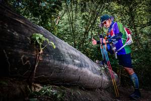 BIB: 
                            <button type="button" onclick="openModal(13519947)" class="btn btn-primary btn-sm float-right btn-popup" data-toggle="modal" data-target=".modal-high-quality">
                        <i class="fas fa-shopping-cart"></i> Add to Cart
                    </button>
                                            <button type="button" onclick="isThisMe(13519947, true)" class="btn btn-success btn-sm float-right btn-popup btn-isme hidden" data-toggle="tooltip" data-placement="bottom" title="นี่คือรูปของคุณใช่ไหม คลิกที่นี่เพื่อเอาเข้าอัลบั้ม">
                        <i class="fas fa-plus"></i> Add to album
                    </button>
                    <button type="button" onclick="isThisMe(13519947, false)" class="btn btn-warning btn-sm float-right btn-popup btn-isnotme hidden">
                        <i class="fas fa-ban"></i> Remove from album
                    </button>