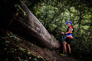 BIB: 
                            <button type="button" onclick="openModal(13525247)" class="btn btn-primary btn-sm float-right btn-popup" data-toggle="modal" data-target=".modal-high-quality">
                        <i class="fas fa-shopping-cart"></i> Add to Cart
                    </button>
                                            <button type="button" onclick="isThisMe(13525247, true)" class="btn btn-success btn-sm float-right btn-popup btn-isme hidden" data-toggle="tooltip" data-placement="bottom" title="นี่คือรูปของคุณใช่ไหม คลิกที่นี่เพื่อเอาเข้าอัลบั้ม">
                        <i class="fas fa-plus"></i> Add to album
                    </button>
                    <button type="button" onclick="isThisMe(13525247, false)" class="btn btn-warning btn-sm float-right btn-popup btn-isnotme hidden">
                        <i class="fas fa-ban"></i> Remove from album
                    </button>