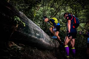 BIB: 
                            <button type="button" onclick="openModal(13525434)" class="btn btn-primary btn-sm float-right btn-popup" data-toggle="modal" data-target=".modal-high-quality">
                        <i class="fas fa-shopping-cart"></i> Add to Cart
                    </button>
                                            <button type="button" onclick="isThisMe(13525434, true)" class="btn btn-success btn-sm float-right btn-popup btn-isme hidden" data-toggle="tooltip" data-placement="bottom" title="นี่คือรูปของคุณใช่ไหม คลิกที่นี่เพื่อเอาเข้าอัลบั้ม">
                        <i class="fas fa-plus"></i> Add to album
                    </button>
                    <button type="button" onclick="isThisMe(13525434, false)" class="btn btn-warning btn-sm float-right btn-popup btn-isnotme hidden">
                        <i class="fas fa-ban"></i> Remove from album
                    </button>