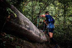 BIB: 
                            <button type="button" onclick="openModal(13523615)" class="btn btn-primary btn-sm float-right btn-popup" data-toggle="modal" data-target=".modal-high-quality">
                        <i class="fas fa-shopping-cart"></i> Add to Cart
                    </button>
                                            <button type="button" onclick="isThisMe(13523615, true)" class="btn btn-success btn-sm float-right btn-popup btn-isme hidden" data-toggle="tooltip" data-placement="bottom" title="นี่คือรูปของคุณใช่ไหม คลิกที่นี่เพื่อเอาเข้าอัลบั้ม">
                        <i class="fas fa-plus"></i> Add to album
                    </button>
                    <button type="button" onclick="isThisMe(13523615, false)" class="btn btn-warning btn-sm float-right btn-popup btn-isnotme hidden">
                        <i class="fas fa-ban"></i> Remove from album
                    </button>