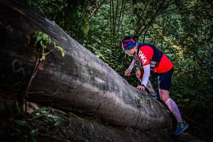 BIB: 
                            <button type="button" onclick="openModal(13519620)" class="btn btn-primary btn-sm float-right btn-popup" data-toggle="modal" data-target=".modal-high-quality">
                        <i class="fas fa-shopping-cart"></i> Add to Cart
                    </button>
                                            <button type="button" onclick="isThisMe(13519620, true)" class="btn btn-success btn-sm float-right btn-popup btn-isme hidden" data-toggle="tooltip" data-placement="bottom" title="นี่คือรูปของคุณใช่ไหม คลิกที่นี่เพื่อเอาเข้าอัลบั้ม">
                        <i class="fas fa-plus"></i> Add to album
                    </button>
                    <button type="button" onclick="isThisMe(13519620, false)" class="btn btn-warning btn-sm float-right btn-popup btn-isnotme hidden">
                        <i class="fas fa-ban"></i> Remove from album
                    </button>