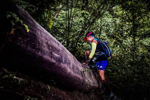 BIB: 
                            <button type="button" onclick="openModal(13525282)" class="btn btn-primary btn-sm float-right btn-popup" data-toggle="modal" data-target=".modal-high-quality">
                        <i class="fas fa-shopping-cart"></i> Add to Cart
                    </button>
                                            <button type="button" onclick="isThisMe(13525282, true)" class="btn btn-success btn-sm float-right btn-popup btn-isme hidden" data-toggle="tooltip" data-placement="bottom" title="นี่คือรูปของคุณใช่ไหม คลิกที่นี่เพื่อเอาเข้าอัลบั้ม">
                        <i class="fas fa-plus"></i> Add to album
                    </button>
                    <button type="button" onclick="isThisMe(13525282, false)" class="btn btn-warning btn-sm float-right btn-popup btn-isnotme hidden">
                        <i class="fas fa-ban"></i> Remove from album
                    </button>