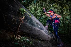 BIB: 
                            <button type="button" onclick="openModal(13519679)" class="btn btn-primary btn-sm float-right btn-popup" data-toggle="modal" data-target=".modal-high-quality">
                        <i class="fas fa-shopping-cart"></i> Add to Cart
                    </button>
                                            <button type="button" onclick="isThisMe(13519679, true)" class="btn btn-success btn-sm float-right btn-popup btn-isme hidden" data-toggle="tooltip" data-placement="bottom" title="นี่คือรูปของคุณใช่ไหม คลิกที่นี่เพื่อเอาเข้าอัลบั้ม">
                        <i class="fas fa-plus"></i> Add to album
                    </button>
                    <button type="button" onclick="isThisMe(13519679, false)" class="btn btn-warning btn-sm float-right btn-popup btn-isnotme hidden">
                        <i class="fas fa-ban"></i> Remove from album
                    </button>