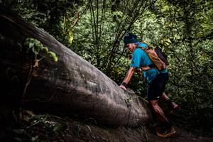 BIB: 
                            <button type="button" onclick="openModal(13523412)" class="btn btn-primary btn-sm float-right btn-popup" data-toggle="modal" data-target=".modal-high-quality">
                        <i class="fas fa-shopping-cart"></i> Add to Cart
                    </button>
                                            <button type="button" onclick="isThisMe(13523412, true)" class="btn btn-success btn-sm float-right btn-popup btn-isme hidden" data-toggle="tooltip" data-placement="bottom" title="นี่คือรูปของคุณใช่ไหม คลิกที่นี่เพื่อเอาเข้าอัลบั้ม">
                        <i class="fas fa-plus"></i> Add to album
                    </button>
                    <button type="button" onclick="isThisMe(13523412, false)" class="btn btn-warning btn-sm float-right btn-popup btn-isnotme hidden">
                        <i class="fas fa-ban"></i> Remove from album
                    </button>