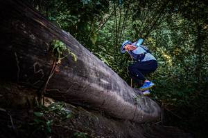 BIB: 
                            <button type="button" onclick="openModal(13519579)" class="btn btn-primary btn-sm float-right btn-popup" data-toggle="modal" data-target=".modal-high-quality">
                        <i class="fas fa-shopping-cart"></i> Add to Cart
                    </button>
                                            <button type="button" onclick="isThisMe(13519579, true)" class="btn btn-success btn-sm float-right btn-popup btn-isme hidden" data-toggle="tooltip" data-placement="bottom" title="นี่คือรูปของคุณใช่ไหม คลิกที่นี่เพื่อเอาเข้าอัลบั้ม">
                        <i class="fas fa-plus"></i> Add to album
                    </button>
                    <button type="button" onclick="isThisMe(13519579, false)" class="btn btn-warning btn-sm float-right btn-popup btn-isnotme hidden">
                        <i class="fas fa-ban"></i> Remove from album
                    </button>