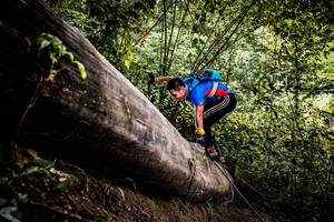 BIB: 
                            <button type="button" onclick="openModal(13525883)" class="btn btn-primary btn-sm float-right btn-popup" data-toggle="modal" data-target=".modal-high-quality">
                        <i class="fas fa-shopping-cart"></i> Add to Cart
                    </button>
                                            <button type="button" onclick="isThisMe(13525883, true)" class="btn btn-success btn-sm float-right btn-popup btn-isme hidden" data-toggle="tooltip" data-placement="bottom" title="นี่คือรูปของคุณใช่ไหม คลิกที่นี่เพื่อเอาเข้าอัลบั้ม">
                        <i class="fas fa-plus"></i> Add to album
                    </button>
                    <button type="button" onclick="isThisMe(13525883, false)" class="btn btn-warning btn-sm float-right btn-popup btn-isnotme hidden">
                        <i class="fas fa-ban"></i> Remove from album
                    </button>