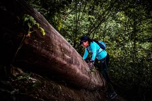 BIB: 
                            <button type="button" onclick="openModal(13525375)" class="btn btn-primary btn-sm float-right btn-popup" data-toggle="modal" data-target=".modal-high-quality">
                        <i class="fas fa-shopping-cart"></i> Add to Cart
                    </button>
                                            <button type="button" onclick="isThisMe(13525375, true)" class="btn btn-success btn-sm float-right btn-popup btn-isme hidden" data-toggle="tooltip" data-placement="bottom" title="นี่คือรูปของคุณใช่ไหม คลิกที่นี่เพื่อเอาเข้าอัลบั้ม">
                        <i class="fas fa-plus"></i> Add to album
                    </button>
                    <button type="button" onclick="isThisMe(13525375, false)" class="btn btn-warning btn-sm float-right btn-popup btn-isnotme hidden">
                        <i class="fas fa-ban"></i> Remove from album
                    </button>