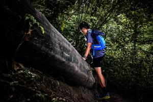 BIB: 
                            <button type="button" onclick="openModal(13525367)" class="btn btn-primary btn-sm float-right btn-popup" data-toggle="modal" data-target=".modal-high-quality">
                        <i class="fas fa-shopping-cart"></i> Add to Cart
                    </button>
                                            <button type="button" onclick="isThisMe(13525367, true)" class="btn btn-success btn-sm float-right btn-popup btn-isme hidden" data-toggle="tooltip" data-placement="bottom" title="นี่คือรูปของคุณใช่ไหม คลิกที่นี่เพื่อเอาเข้าอัลบั้ม">
                        <i class="fas fa-plus"></i> Add to album
                    </button>
                    <button type="button" onclick="isThisMe(13525367, false)" class="btn btn-warning btn-sm float-right btn-popup btn-isnotme hidden">
                        <i class="fas fa-ban"></i> Remove from album
                    </button>