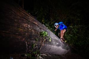 BIB: 
                            <button type="button" onclick="openModal(13517607)" class="btn btn-primary btn-sm float-right btn-popup" data-toggle="modal" data-target=".modal-high-quality">
                        <i class="fas fa-shopping-cart"></i> Add to Cart
                    </button>
                                            <button type="button" onclick="isThisMe(13517607, true)" class="btn btn-success btn-sm float-right btn-popup btn-isme hidden" data-toggle="tooltip" data-placement="bottom" title="นี่คือรูปของคุณใช่ไหม คลิกที่นี่เพื่อเอาเข้าอัลบั้ม">
                        <i class="fas fa-plus"></i> Add to album
                    </button>
                    <button type="button" onclick="isThisMe(13517607, false)" class="btn btn-warning btn-sm float-right btn-popup btn-isnotme hidden">
                        <i class="fas fa-ban"></i> Remove from album
                    </button>