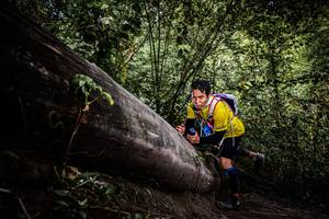 BIB: 
                            <button type="button" onclick="openModal(13523253)" class="btn btn-primary btn-sm float-right btn-popup" data-toggle="modal" data-target=".modal-high-quality">
                        <i class="fas fa-shopping-cart"></i> Add to Cart
                    </button>
                                            <button type="button" onclick="isThisMe(13523253, true)" class="btn btn-success btn-sm float-right btn-popup btn-isme hidden" data-toggle="tooltip" data-placement="bottom" title="นี่คือรูปของคุณใช่ไหม คลิกที่นี่เพื่อเอาเข้าอัลบั้ม">
                        <i class="fas fa-plus"></i> Add to album
                    </button>
                    <button type="button" onclick="isThisMe(13523253, false)" class="btn btn-warning btn-sm float-right btn-popup btn-isnotme hidden">
                        <i class="fas fa-ban"></i> Remove from album
                    </button>