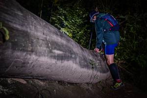 BIB: 
                            <button type="button" onclick="openModal(13517735)" class="btn btn-primary btn-sm float-right btn-popup" data-toggle="modal" data-target=".modal-high-quality">
                        <i class="fas fa-shopping-cart"></i> Add to Cart
                    </button>
                                            <button type="button" onclick="isThisMe(13517735, true)" class="btn btn-success btn-sm float-right btn-popup btn-isme hidden" data-toggle="tooltip" data-placement="bottom" title="นี่คือรูปของคุณใช่ไหม คลิกที่นี่เพื่อเอาเข้าอัลบั้ม">
                        <i class="fas fa-plus"></i> Add to album
                    </button>
                    <button type="button" onclick="isThisMe(13517735, false)" class="btn btn-warning btn-sm float-right btn-popup btn-isnotme hidden">
                        <i class="fas fa-ban"></i> Remove from album
                    </button>