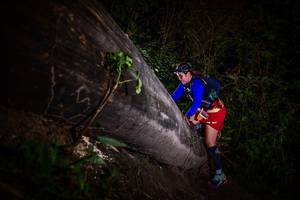 BIB: 
                            <button type="button" onclick="openModal(13518857)" class="btn btn-primary btn-sm float-right btn-popup" data-toggle="modal" data-target=".modal-high-quality">
                        <i class="fas fa-shopping-cart"></i> Add to Cart
                    </button>
                                            <button type="button" onclick="isThisMe(13518857, true)" class="btn btn-success btn-sm float-right btn-popup btn-isme hidden" data-toggle="tooltip" data-placement="bottom" title="นี่คือรูปของคุณใช่ไหม คลิกที่นี่เพื่อเอาเข้าอัลบั้ม">
                        <i class="fas fa-plus"></i> Add to album
                    </button>
                    <button type="button" onclick="isThisMe(13518857, false)" class="btn btn-warning btn-sm float-right btn-popup btn-isnotme hidden">
                        <i class="fas fa-ban"></i> Remove from album
                    </button>