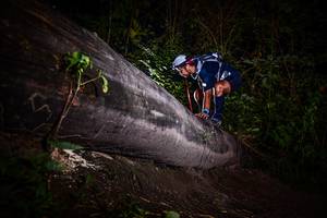 BIB: 
                            <button type="button" onclick="openModal(13519018)" class="btn btn-primary btn-sm float-right btn-popup" data-toggle="modal" data-target=".modal-high-quality">
                        <i class="fas fa-shopping-cart"></i> Add to Cart
                    </button>
                                            <button type="button" onclick="isThisMe(13519018, true)" class="btn btn-success btn-sm float-right btn-popup btn-isme hidden" data-toggle="tooltip" data-placement="bottom" title="นี่คือรูปของคุณใช่ไหม คลิกที่นี่เพื่อเอาเข้าอัลบั้ม">
                        <i class="fas fa-plus"></i> Add to album
                    </button>
                    <button type="button" onclick="isThisMe(13519018, false)" class="btn btn-warning btn-sm float-right btn-popup btn-isnotme hidden">
                        <i class="fas fa-ban"></i> Remove from album
                    </button>