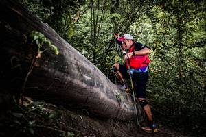 BIB: 
                            <button type="button" onclick="openModal(13523023)" class="btn btn-primary btn-sm float-right btn-popup" data-toggle="modal" data-target=".modal-high-quality">
                        <i class="fas fa-shopping-cart"></i> Add to Cart
                    </button>
                                            <button type="button" onclick="isThisMe(13523023, true)" class="btn btn-success btn-sm float-right btn-popup btn-isme hidden" data-toggle="tooltip" data-placement="bottom" title="นี่คือรูปของคุณใช่ไหม คลิกที่นี่เพื่อเอาเข้าอัลบั้ม">
                        <i class="fas fa-plus"></i> Add to album
                    </button>
                    <button type="button" onclick="isThisMe(13523023, false)" class="btn btn-warning btn-sm float-right btn-popup btn-isnotme hidden">
                        <i class="fas fa-ban"></i> Remove from album
                    </button>