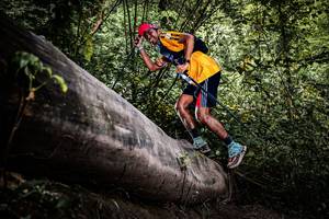 BIB: 
                            <button type="button" onclick="openModal(13523086)" class="btn btn-primary btn-sm float-right btn-popup" data-toggle="modal" data-target=".modal-high-quality">
                        <i class="fas fa-shopping-cart"></i> Add to Cart
                    </button>
                                            <button type="button" onclick="isThisMe(13523086, true)" class="btn btn-success btn-sm float-right btn-popup btn-isme hidden" data-toggle="tooltip" data-placement="bottom" title="นี่คือรูปของคุณใช่ไหม คลิกที่นี่เพื่อเอาเข้าอัลบั้ม">
                        <i class="fas fa-plus"></i> Add to album
                    </button>
                    <button type="button" onclick="isThisMe(13523086, false)" class="btn btn-warning btn-sm float-right btn-popup btn-isnotme hidden">
                        <i class="fas fa-ban"></i> Remove from album
                    </button>