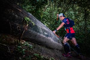 BIB: 
                            <button type="button" onclick="openModal(13519597)" class="btn btn-primary btn-sm float-right btn-popup" data-toggle="modal" data-target=".modal-high-quality">
                        <i class="fas fa-shopping-cart"></i> Add to Cart
                    </button>
                                            <button type="button" onclick="isThisMe(13519597, true)" class="btn btn-success btn-sm float-right btn-popup btn-isme hidden" data-toggle="tooltip" data-placement="bottom" title="นี่คือรูปของคุณใช่ไหม คลิกที่นี่เพื่อเอาเข้าอัลบั้ม">
                        <i class="fas fa-plus"></i> Add to album
                    </button>
                    <button type="button" onclick="isThisMe(13519597, false)" class="btn btn-warning btn-sm float-right btn-popup btn-isnotme hidden">
                        <i class="fas fa-ban"></i> Remove from album
                    </button>